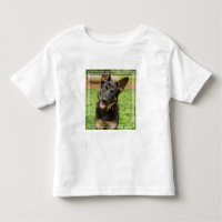Retrato de um German shepherd