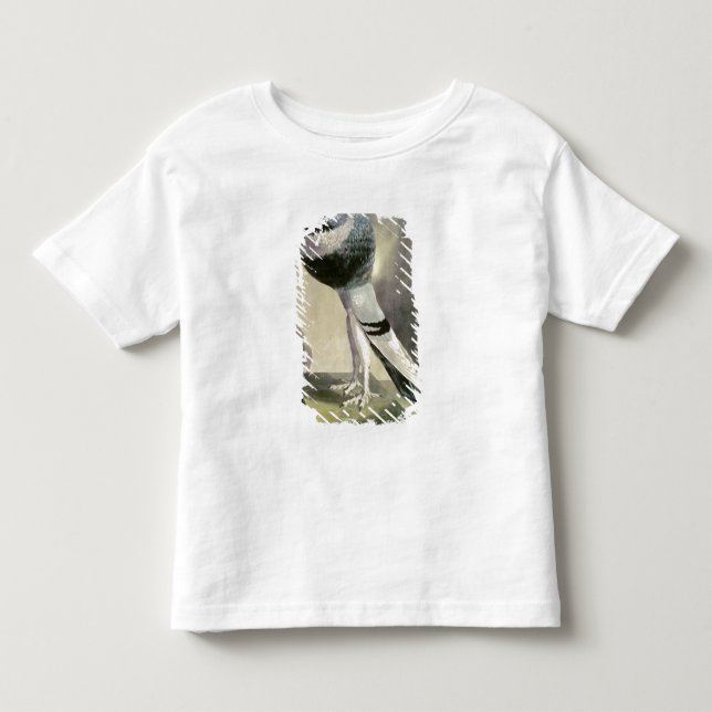 Camiseta Infantil Retrato do pombo do Pouter (Frente)