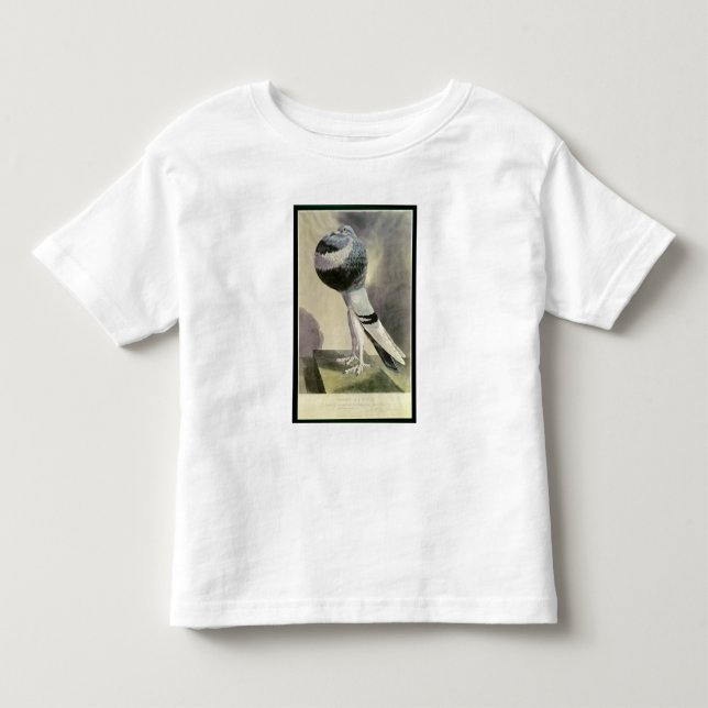 Camiseta Infantil Retrato do pombo do Pouter (Frente)