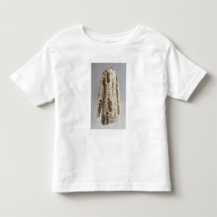 Camiseta Infantil Revista, de Irã, Safavid, c.1600