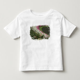 Camiseta Infantil Rhododendron (Rhododendron catawbiense) Charneca