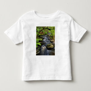 Camiseta Infantil Ribeiro flui através da floresta