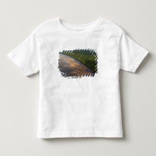 Camiseta Infantil Rio Essequibo, rio mais longo da Guiana, e 3