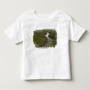 Camiseta Infantil Rio Essequibo, rio mais longo da Guiana e 5