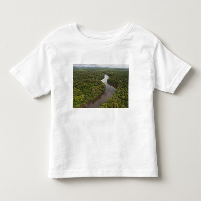 Camiseta Infantil Rio Essequibo, rio mais longo da Guiana e 5 (Frente)