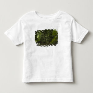 Camiseta Infantil Rio Mapari, Mapari Rupununi, Guiana.