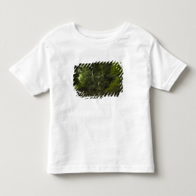 Camiseta Infantil Rio Mapari, Mapari Rupununi, Guiana. (Frente)