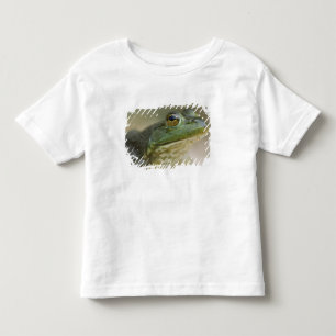 Camiseta Infantil Rio Nacional Bufallo, Noroeste do Arkansas