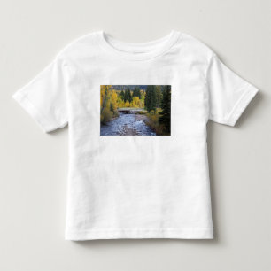 Camiseta Infantil Rio Provo e árvores de álamo
