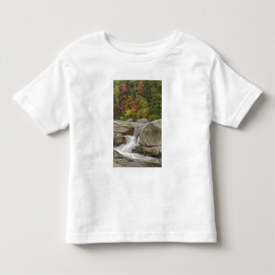 Camiseta Infantil Rio Swift em cascata através de rochas, Branco