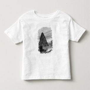 Camiseta Infantil Rocha do órfão pequeno no Rio Yangtzé