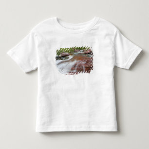 Camiseta Infantil Rocha vermelha em Baring Creek no Glacier National