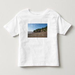 Camiseta Infantil Rochas Hopewell e Exploração das Marés do Oceano