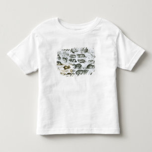 Camiseta Infantil Rodentia-Roedores ou animais de roedura