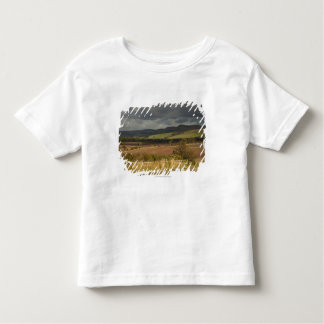 Camiseta Infantil Rolling Hills e montanhas sob um céu nebuloso