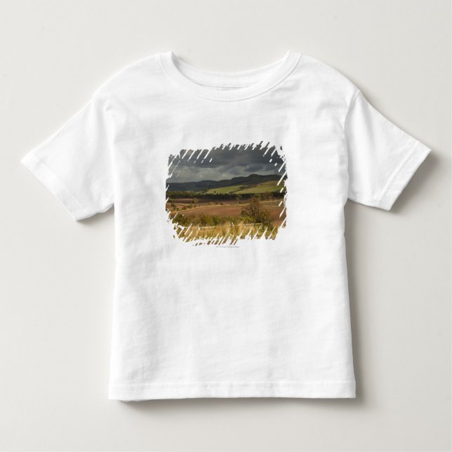 Camiseta Infantil Rolling Hills e montanhas sob um céu nebuloso (Frente)