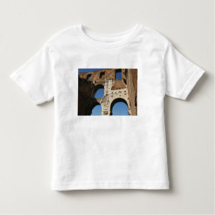 Camiseta Infantil Roman Art. O Colosseum ou Flavian 5