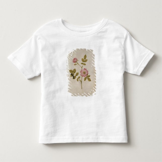Camiseta Infantil Rosa Canina - Dogrose e Caterpillar (lápis & com (Frente)
