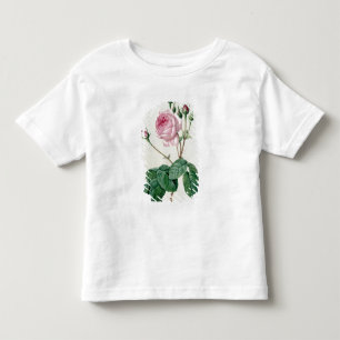 Camiseta Infantil Rosa Centifolia Bullata