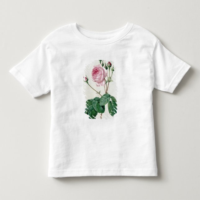 Camiseta Infantil Rosa Centifolia Bullata (Frente)