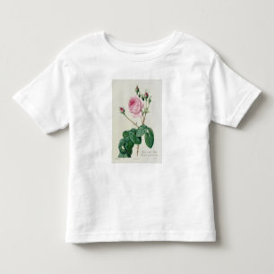 Camiseta Infantil Rosa Centifolia Bullata