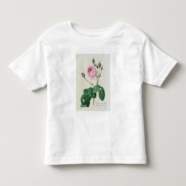 Camiseta Infantil Rosa Centifolia Bullata (Frente)