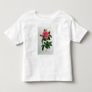 Camiseta Infantil Rosa Gallica Regallis