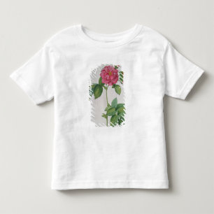 Camiseta Infantil Rosa Turbinata, de, Les Roses', Vol 1, 1817