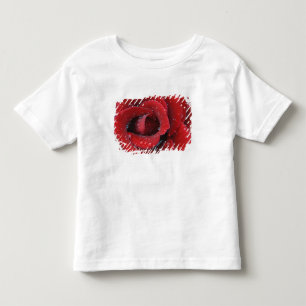 Camiseta Infantil Rosa vermelha coberta de orvalho decorando túmulo