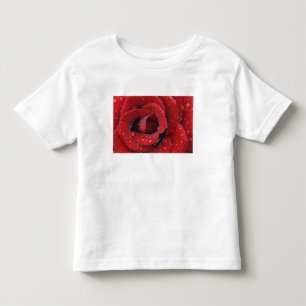 Camiseta Infantil Rosa vermelha coberta de orvalho decorando túmulo 