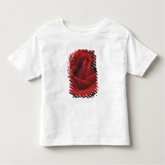 Camiseta Infantil Rosa vermelha de florescência