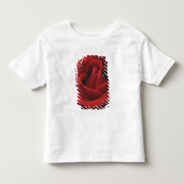 Camiseta Infantil Rosa vermelha de florescência (Frente)