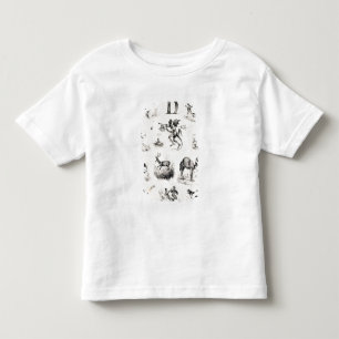 Camiseta Infantil Rotule D de uma primeira demão do alfabeto, 1832
