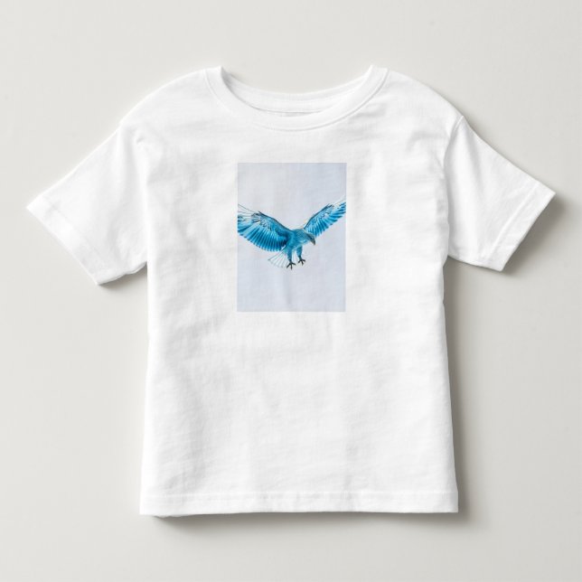 Camiseta Infantil Roupas (Frente)