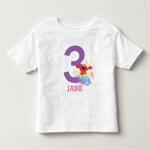 Camiseta Infantil Rua Sésamo   Aniversário da Elmo Girl