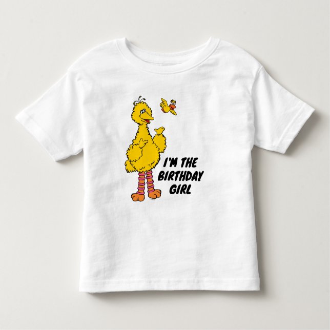 Camiseta Infantil Rua Sésamo | Ave Grande e Ave Pequena (Frente)