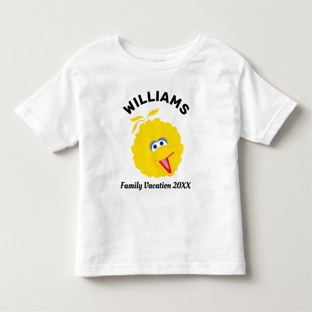Camiseta Infantil Rua Sésamo | Férias Familiares De Aves Grandes (Frente)