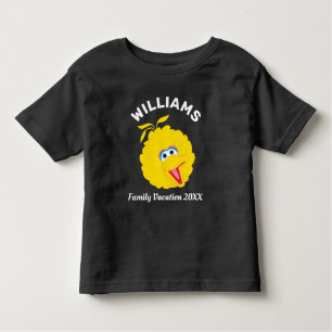 Camiseta Infantil Rua Sésamo Férias Familiares De Aves Grandes