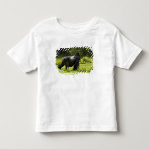 Camiseta Infantil Ruanda, Parque Nacional dos Vulcões