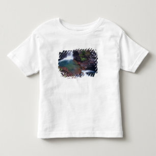 Camiseta Infantil Ruas Mary cai no Parque Nacional de Glacier em