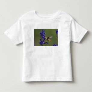 Camiseta Infantil Rufous Hummingbird