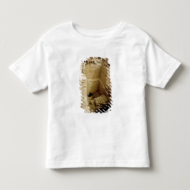Camiseta Infantil Ruína do palácio (Frente)