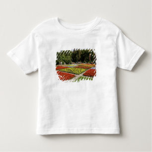 Camiseta Infantil Rússia, Moscou, Praça Vermelha, Alexandrovsky
