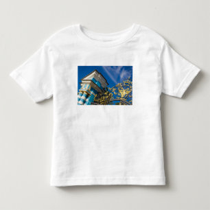 Camiseta Infantil Rússia, Pushkin. Detalhe do portão e torre de supo
