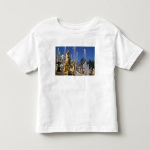 Camiseta Infantil Rússia, São Petersburgo, Estátuas douradas no