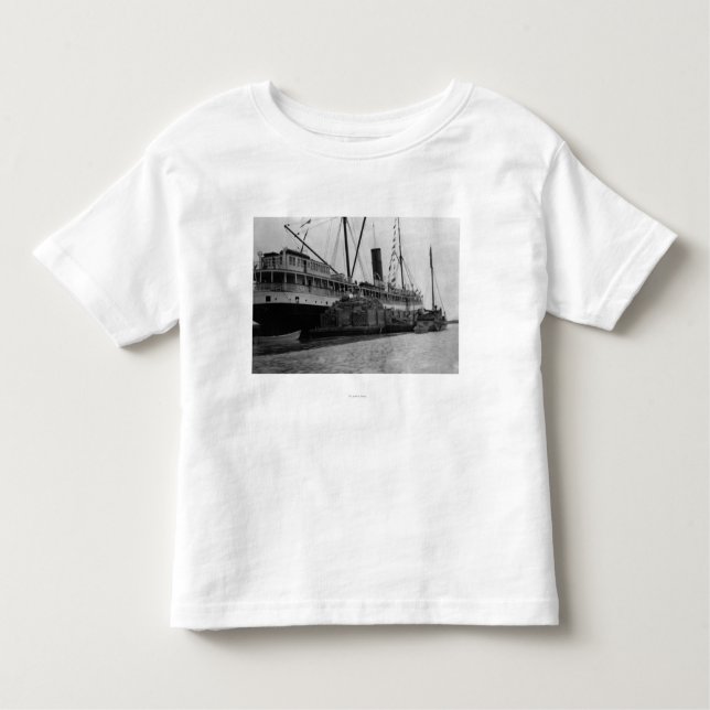 Camiseta Infantil S.S. Alameda fotografia de Anchorage, Alaska (Frente)