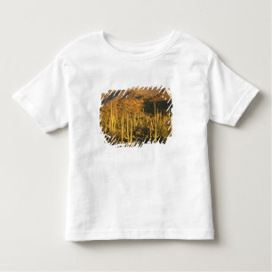 Camiseta Infantil Saguaro cactus no Parque Nacional de Saguaro perto