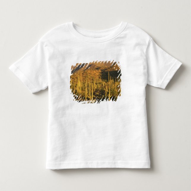 Camiseta Infantil Saguaro cactus no Parque Nacional de Saguaro perto (Frente)