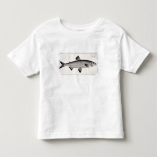 Camiseta Infantil (Salmo Maraena) placa Salmon XXVII 'de Ichthyolo