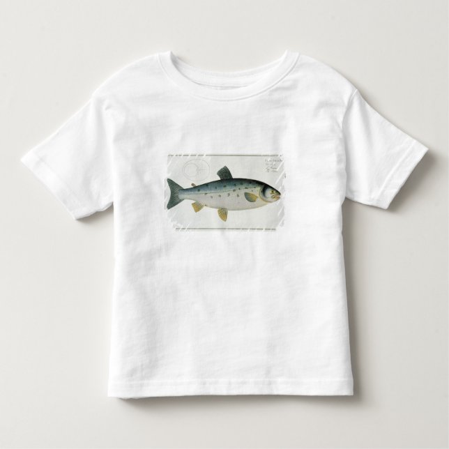 Camiseta Infantil (Salmo Salar) placa Salmon XX 'de Ichthyologie, (Frente)